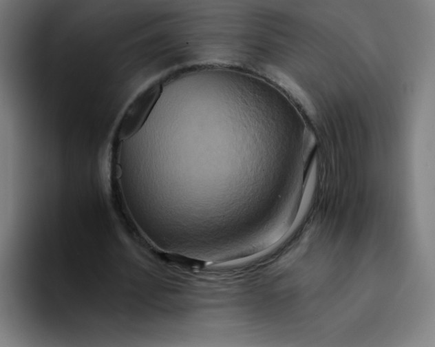 X0000094370580200711162112