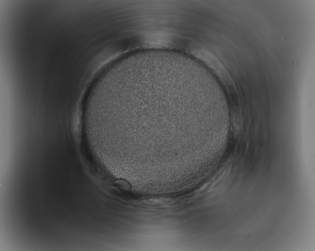 X0000094370583200711162112