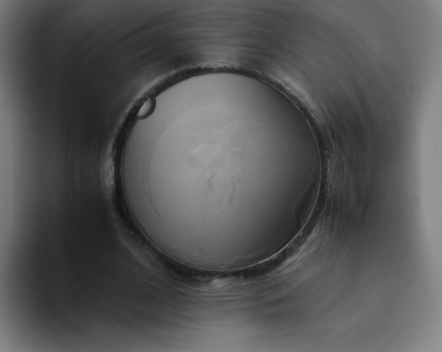 X0000094370584200711162112