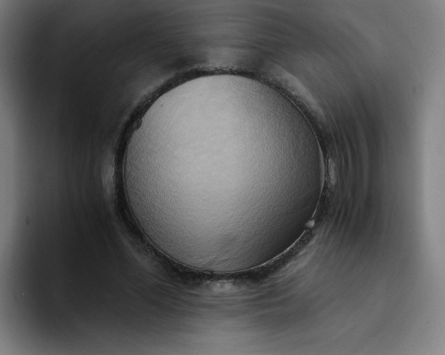 X0000094370588200711162112