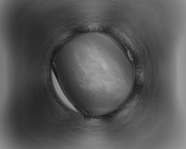 X0000094370593200711162112