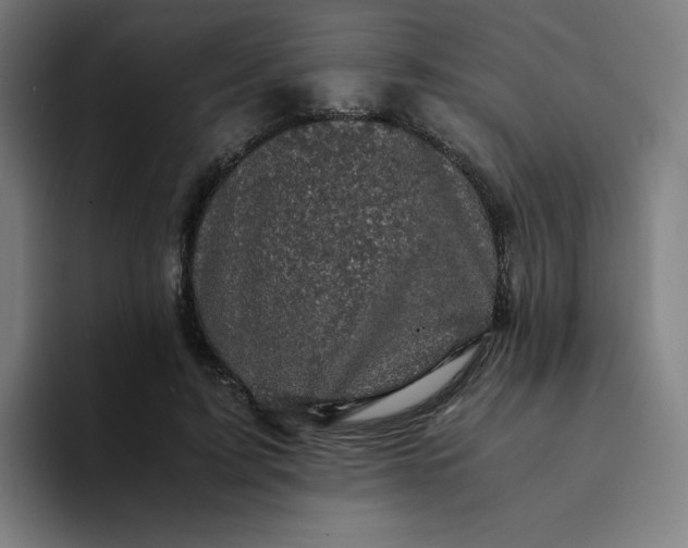X0000094370595200711162112