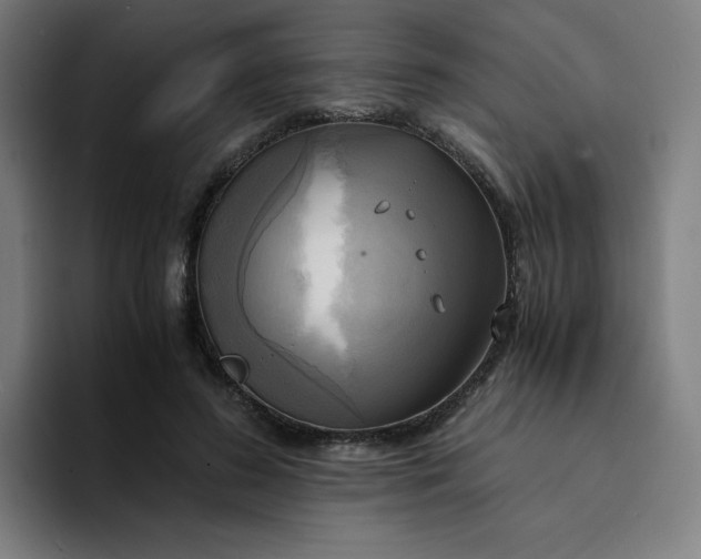 X0000094370596200711162112