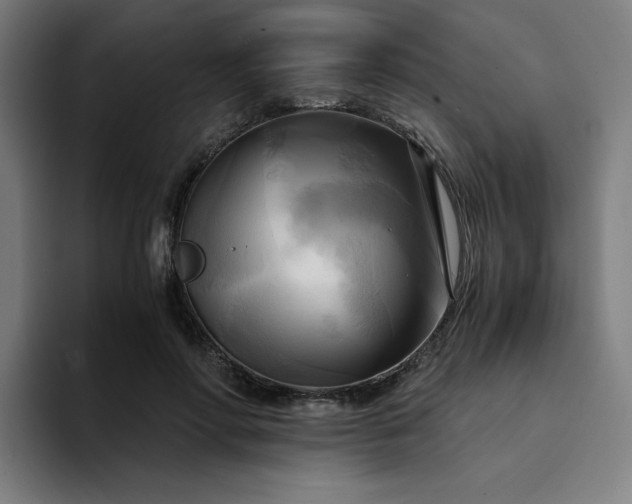 X0000094370598200711162112