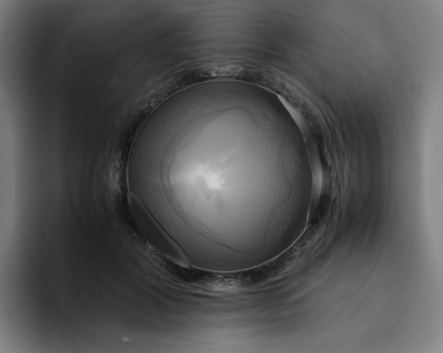 X0000094370604200711162112