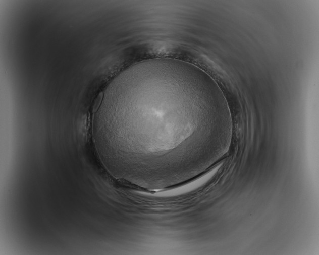 X0000094370605200711162112