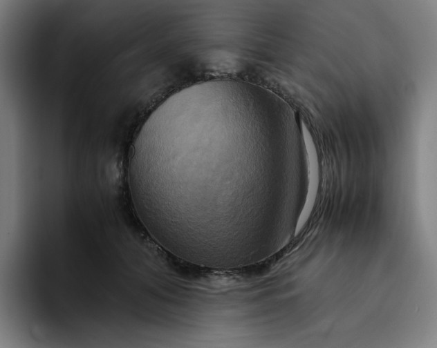 X0000094370608200711162112