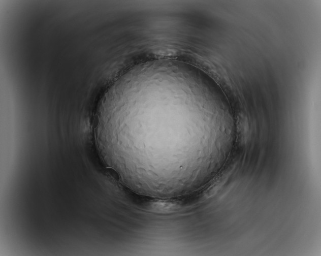 X0000094370614200711162112