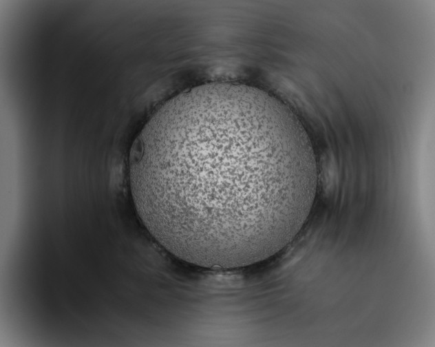 X0000094370619200711162112