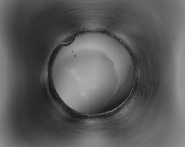 X0000094370630200711162111