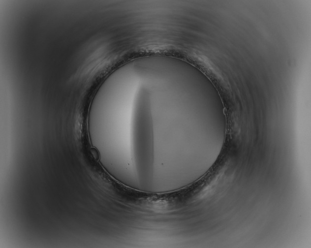 X0000094370640200711162111