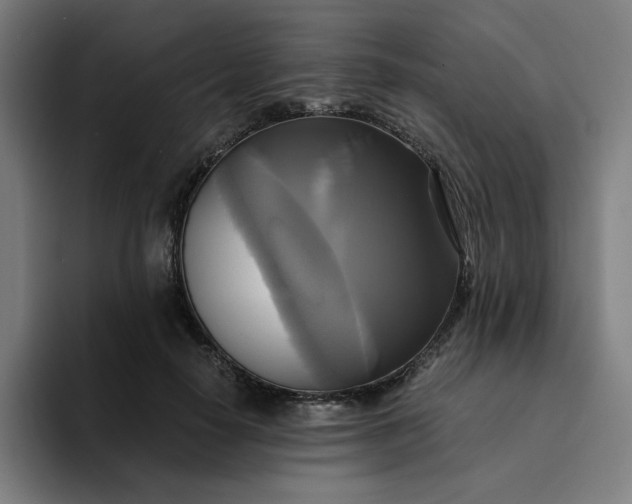 X0000094370650200711162111