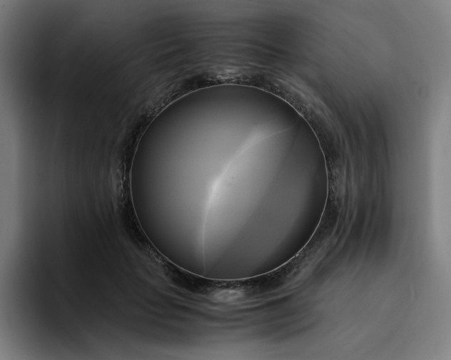 X0000094370653200711162111