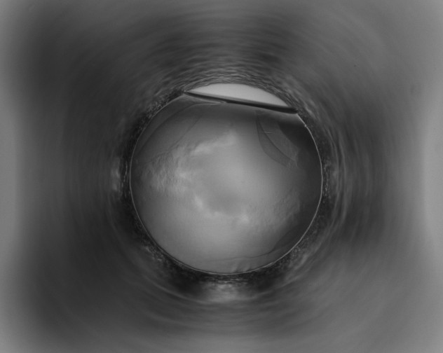 X0000094370655200711162111