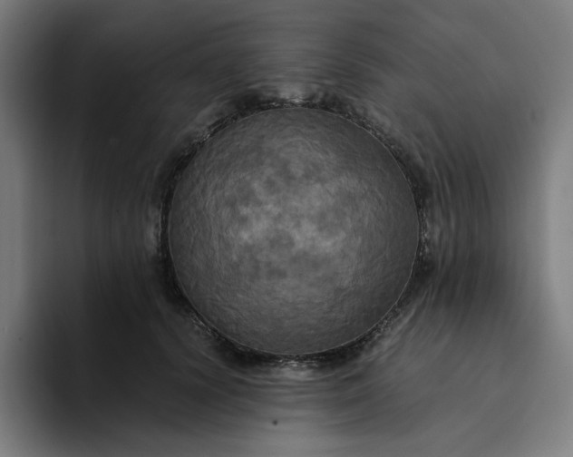 X0000094370656200711162111