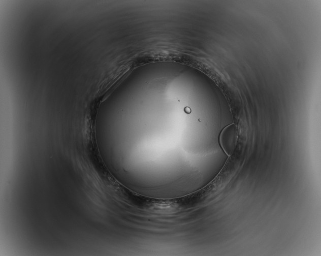 X0000094370659200711162111