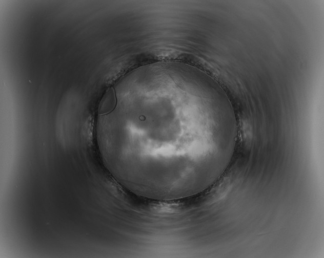 X0000094370664200711162112