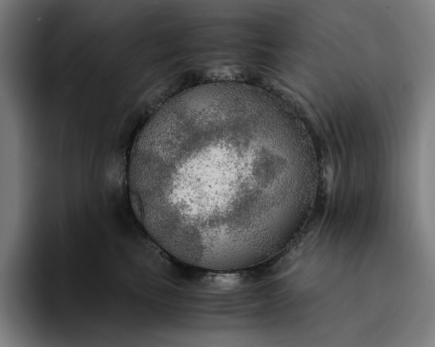 X0000094370665200711162112