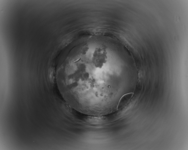 X0000094370671200711162112