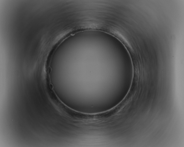 X0000094370674200711162111