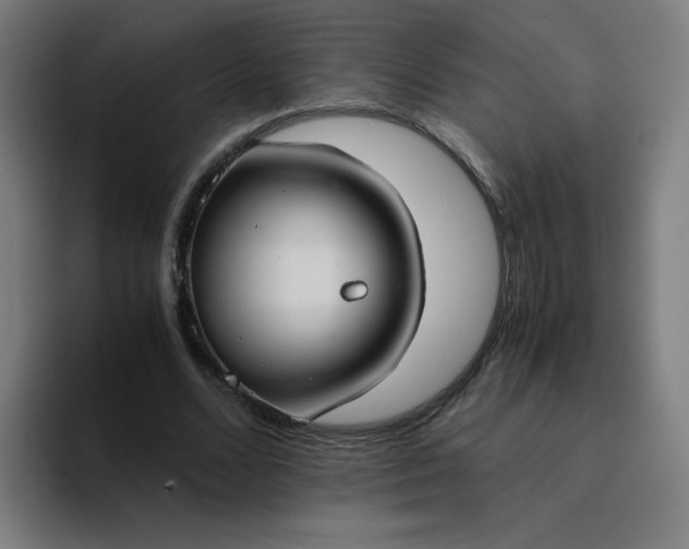 X0000094370680200711162111