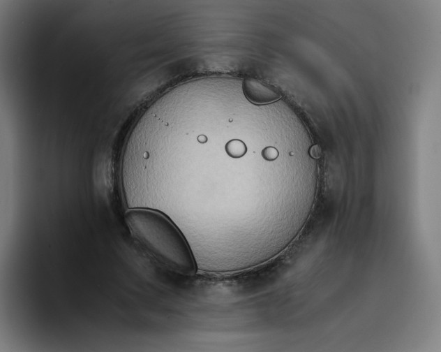 X0000094370683200711162111