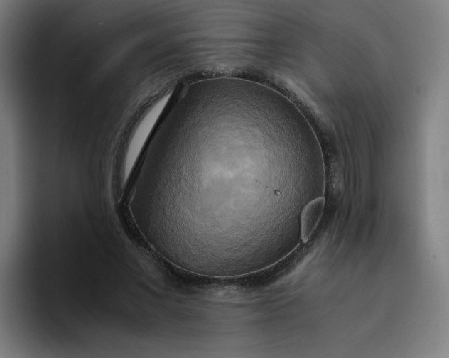 X0000094370685200711162111