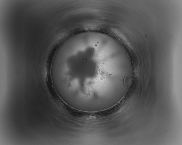 X0000094370687200711162111