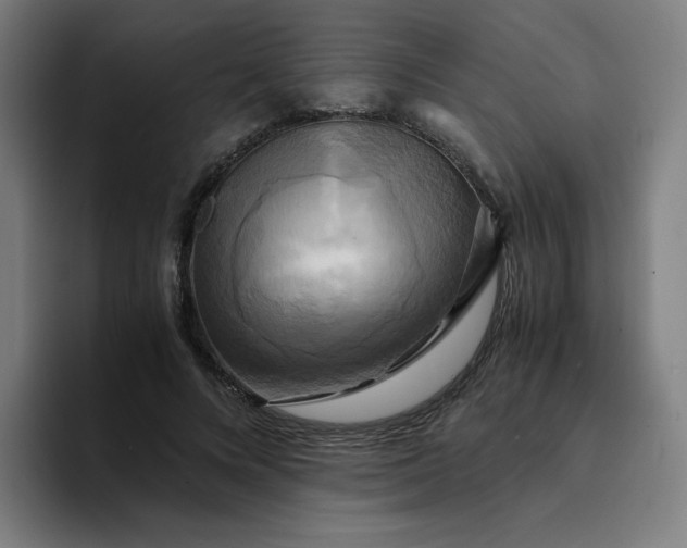 X0000094370688200711162111