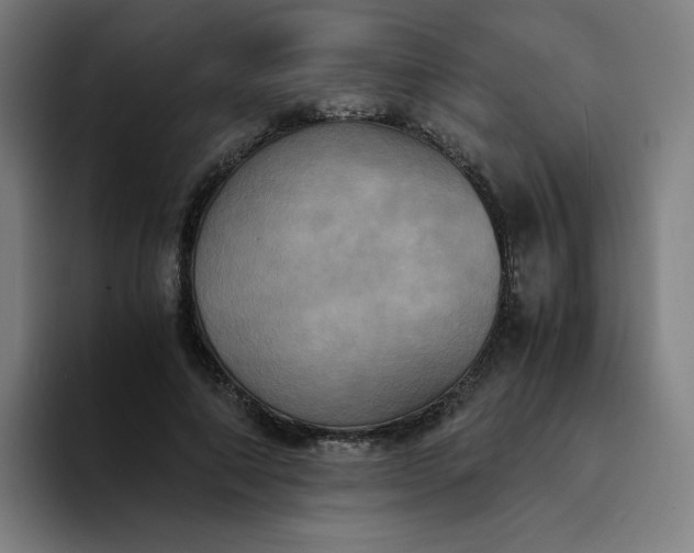 X0000094370690200711162111