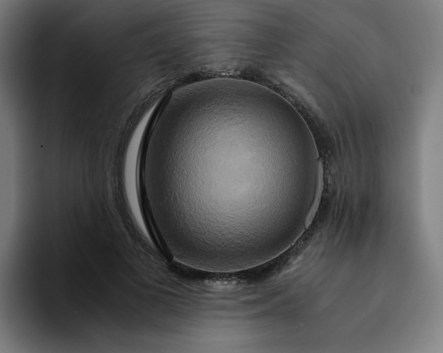 X0000094370693200711162111