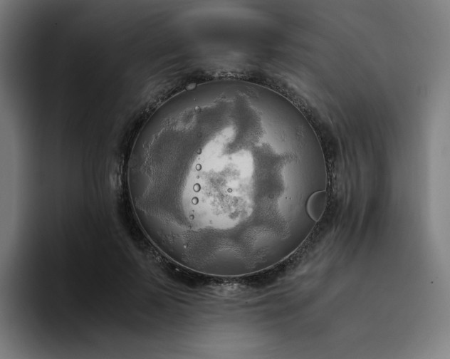 X0000094370695200711162111