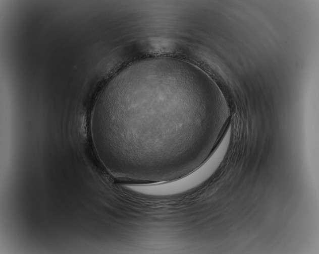 X0000094370700200711162111