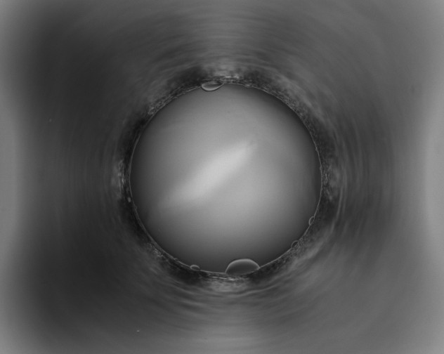 X0000094370707200711162111