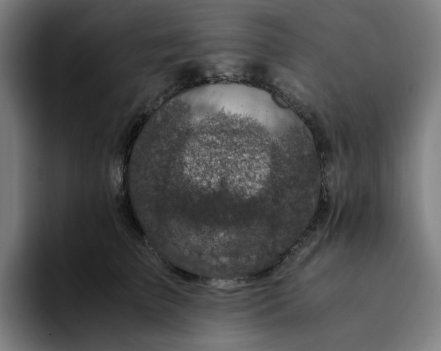 X0000094370709200711162111