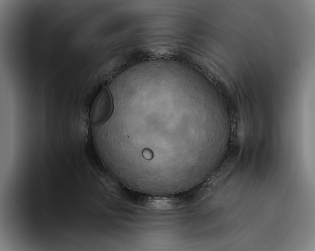 X0000094370710200711162111