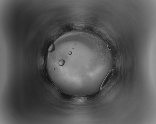 X0000094370711200711162111