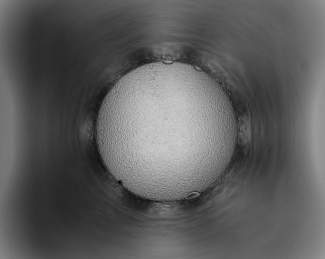 X0000094370713200711162110