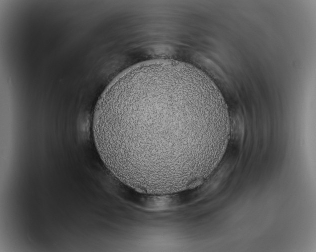 X0000094370717200711162110