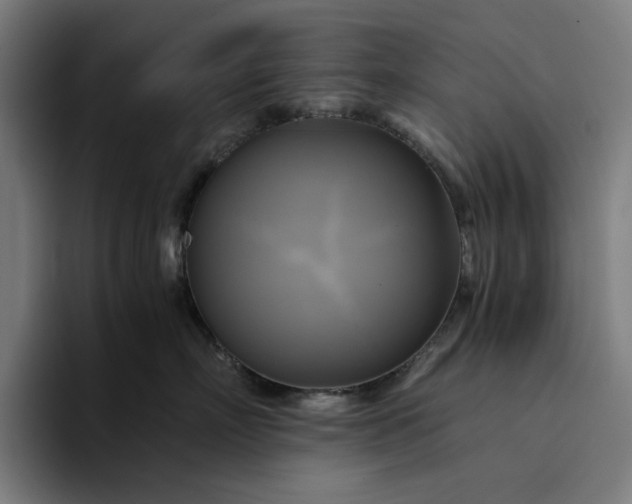 X0000094370718200711162110