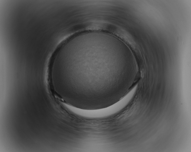 X0000094370724200711162110