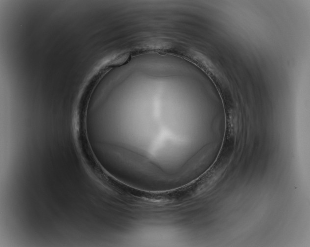 X0000094370726200711162110