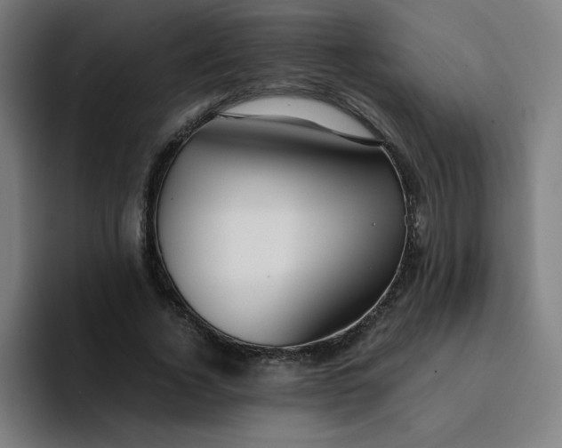 X0000094370732200711162110