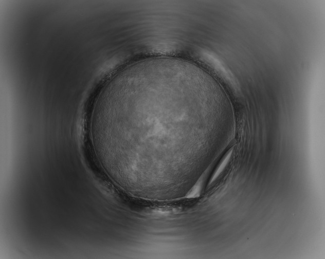 X0000094370736200711162110