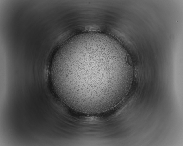 X0000094370741200711162110