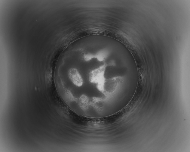 X0000094370745200711162110