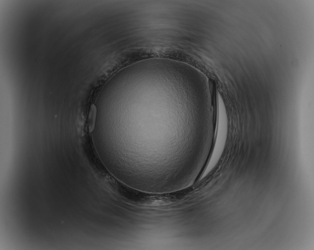 X0000094370750200711162110