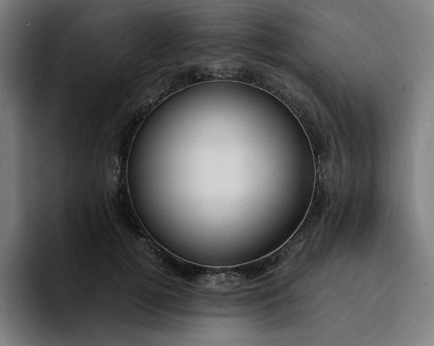 X0000094370752200711162110