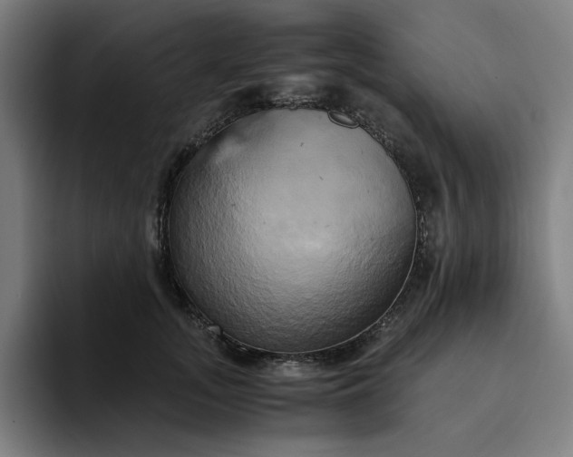 X0000094370755200711162110