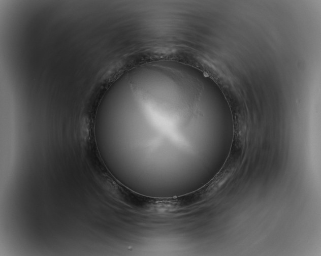 X0000094370758200711162110
